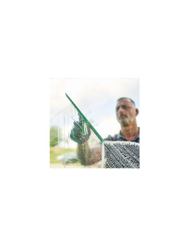 Caoutchouc vert Unger