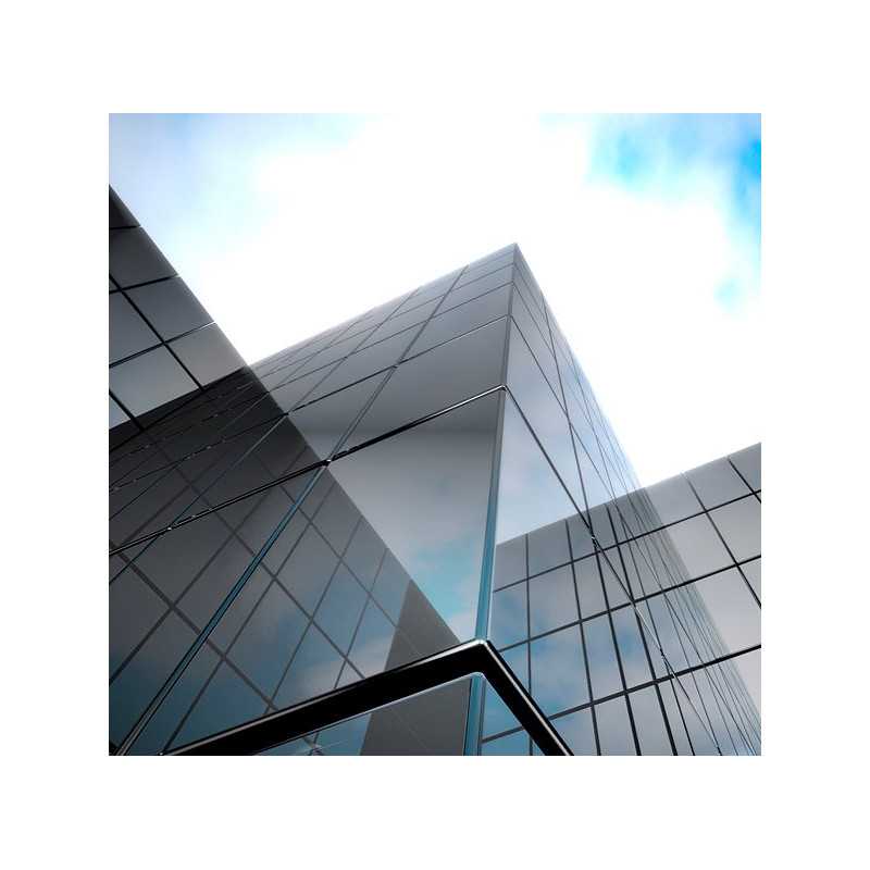 Sentinel DX5 - Film miroir extérieur